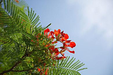 毛骨悚然的新加坡式恐怖体验《惨痕》 现已登陆Steam，限时9折优惠